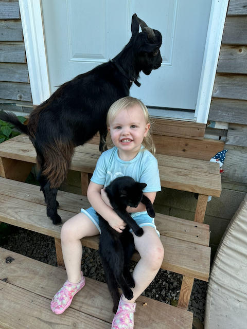 A young family member sitting on the porch steps with a goat and a barn cat